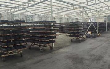 保定防水型<a href=http://m.yizhonglx.com/fwzhxt/ target=_blank class=infotextkey>蜂窩活性炭</a>廠家報價